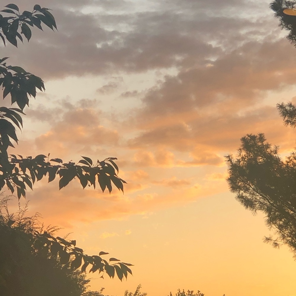 Meet your Posher, Laci